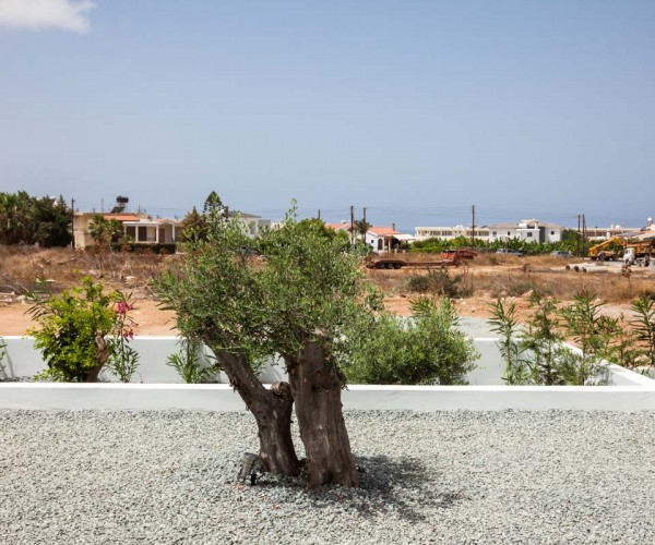 Lemon Grove