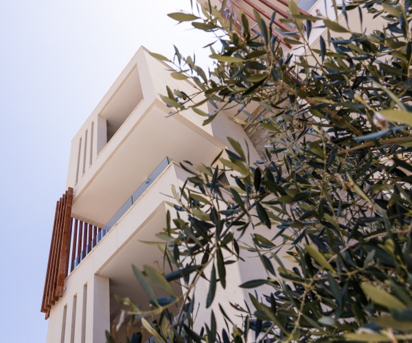 Paphos Central View